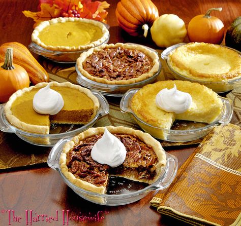 Thanksgiving Recipes Dessert Pies, Miniature Pies, Dessert Pies, Mini Pie Recipes, Recipe Thanksgiving, Small Batch Baking, Pies Maker, Coconut Custard, Dessert For Two