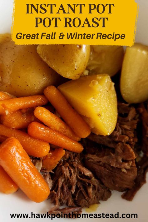 Instant Pot Pot Roast Recipes, Roast Recipes Instant Pot, Instant Pot Chuck Roast Recipe, Instant Pot Roast, Blade Roast, Rolled Roast, Instant Pot Pot Roast, Leftover Pot Roast, Perfect Pot Roast