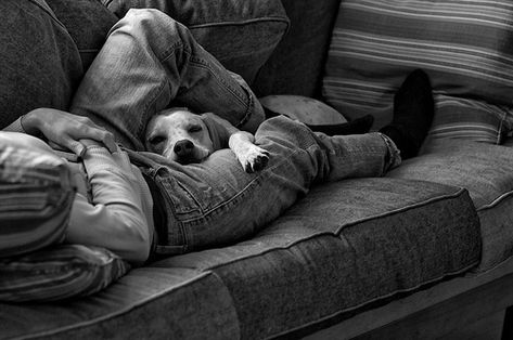 The lazy life. Dog Best Friend, Man And Dog, Dogs Of The World, Mans Best Friend, Animals Friends, Dog Life, I Love Dogs, Animal Photography, Dog Love