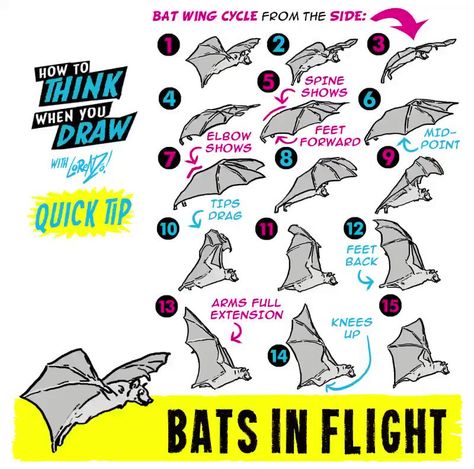 Animation Drawing Tutorial, Etherington Brothers, Principles Of Animation, Bat Art, Anatomy Tutorial, Illustration Art Drawing, Sketch Illustration, Animation Reference, How To Make Comics