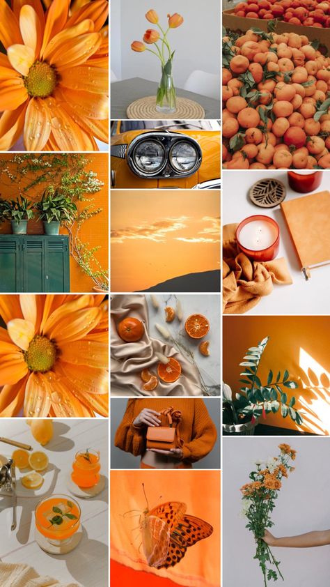 Orange Crush Aesthetic, Orange Mood Board Aesthetic, Orange Vision Board, Orange Moodboard Aesthetic, Orange Mood Board, Moodboard Orange, Orange Moodboard, Orange Inspiration, Colourful Bathroom