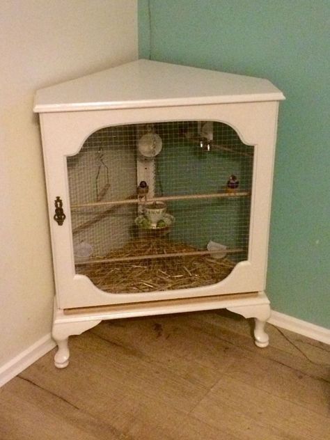 Diy Bird Cage, Bird Cage Design, Diy Bird Toys, Small Bird Cage, Parakeet Cage, Pet Bird Cage, Rabbit Cages, Bird Aviary, Bird Cage Decor