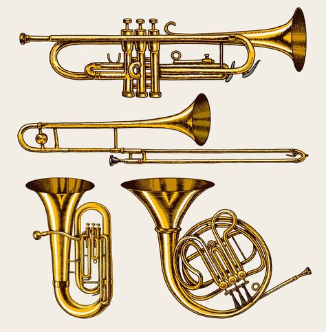 Musical Instruments Drawing, Jazz Instruments, Wind Instruments, Atlas Moth, Guitar Drawing, Instruments Art, About Heart, Brass Instruments, Music Crafts