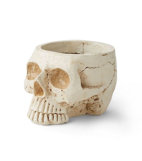 Get Spooky with the 4" Halloween Textured Skull Container by Place & TimeAdd a touch of Halloween horror to your home decor with the intricately designed Halloween Textured Skull Container by Place & Time This spooky container is perfect for holding candy, trinkets, or even as a standalone decoration The skull design is sure to give your guests a fright and create a spine - chilling atmospherePair this container with cutouts shaped like spiders or black candles to create a haunting display in your foyer or living room The possibilities are endless with this versatile Halloween decorationProduct Details Brand: Place & Time Dimensions: 488 x 63 x 425 inches Content: 55% Polyresin & 45% Stone Powder Halloween Women Costume Ideas, Women Costume Ideas, Halloween Crafts Ideas, Party Ideas Halloween, Halloween Porch Decor, Halloween Garden Decorations, Halloween Front Porch Decor, Skeleton Decorations, Halloween Door Mat