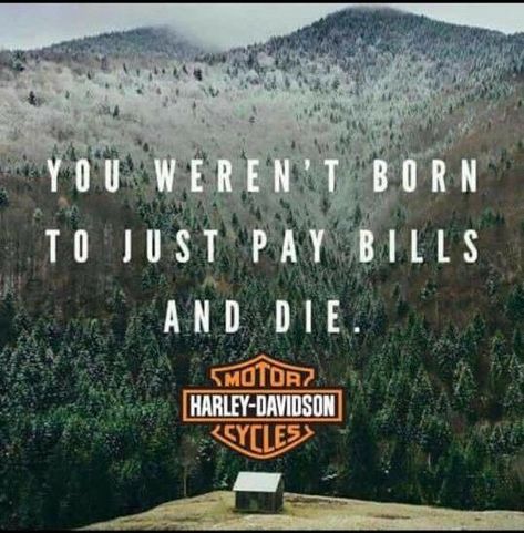 Motocykle Harley Davidson, Bikers Quotes, Harley Davidson Quotes, Ride Motorcycle, Motos Harley, Bike Quotes, Biker Quotes, Motorcycle Quotes, Biker Stuff