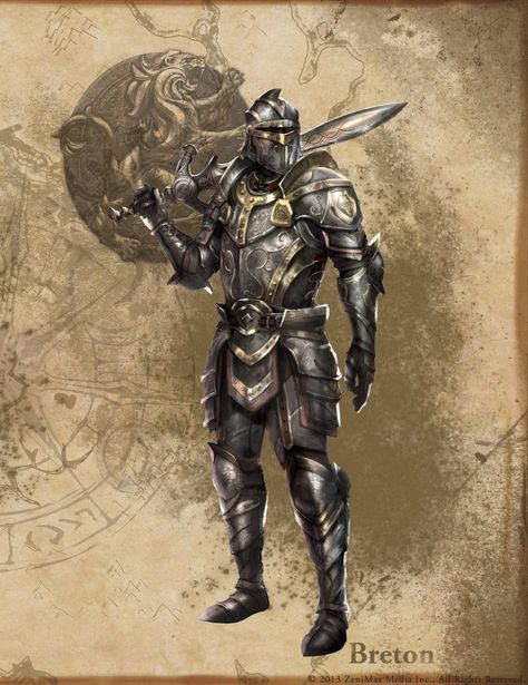 Elder Scrolls Art, Elder Scrolls Online, The Elder Scrolls, Knight Art, Knight Armor, Fantasy Male, Fantasy Armor, Fantasy Rpg, Elder Scrolls