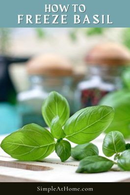 Basil: How To Freeze This Amazing Herb For Later Use — Simple At Home How To Freeze Fresh Basil, Freezing Basil Leaves, How To Freeze Basil, Freezing Butter, Can You Freeze Eggs, Preserving Basil, Homestead Cooking, Infused Salt, Easy Pasta Sauce