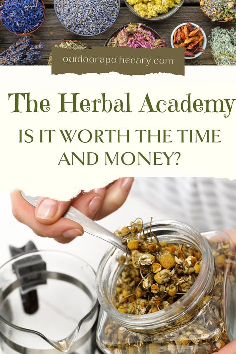 Outdoor Apothecary, Herbal Academy, Herbal Education, Herbal Store, Types Of Learners, Herbal Recipes, Teaching Methods, Homeopathic Remedies, Wild Food