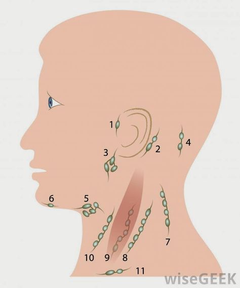 Face lymph nodes Essential Oils Lymph Nodes Swollen, Sore Lymph Nodes In Neck, How To Get Rid Of A Swollen Lymph Node, Facial Lymph Nodes, How To Drain Lymph Nodes Face, Swollen Lymph Node Remedies, Swollen Lymph Node In Neck, How To Drain Lymph Nodes, Lymph Nodes In Neck