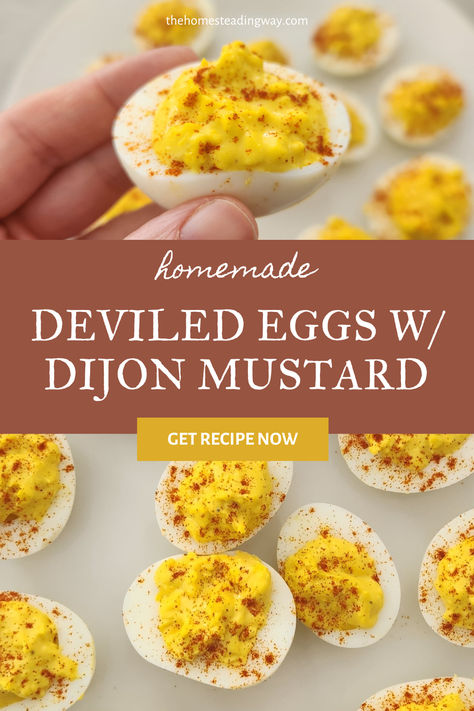 Deviled Egg Recipe with Dijon Mustard Deviled Eggs Dijon Mustard, Deviled Eggs With Dijon Mustard, Mustard Deviled Eggs, Deviled Eggs Recipe Best Easy, Easy Deviled Egg Recipe, Devilled Eggs Recipe, Deviled Eggs Recipe Best, Easy Deviled Eggs, Deviled Egg Recipe