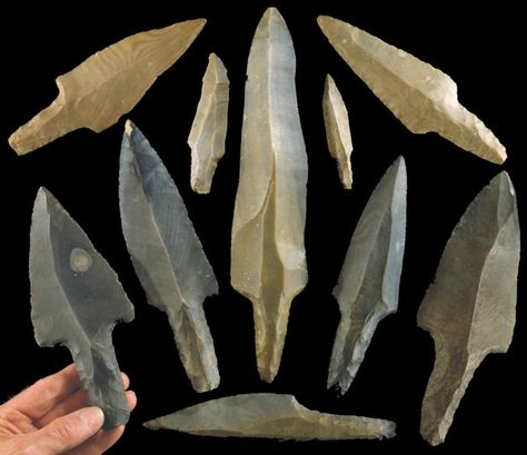 Ancient Mayan Tools – Stone Working, Farming & Domestic Use — Steemit Indian Artifacts For Sale, Flint Stones, Native American Flute Music, Small Museum, Stone Age Tools, Native American Tools, Arrowheads Artifacts, Maya Civilization, Stone Tools