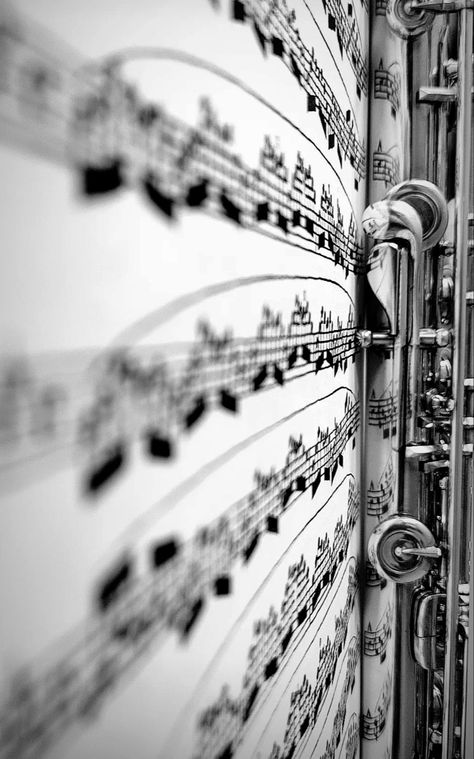 #flute #picture #mirror #reflect #musicnotes #notes #φλαουτο  #flöte #Querflöte #instrument #photography #fluteart #Woodwind #aesthetic #theflutevault Woodwind Aesthetic, Aesthetic Flute Pictures, Flute Wallpapers, Flute Music Notes, Flute Photography, Flute Aesthetic, Instrument Photography, Flute Art, Flute Notes