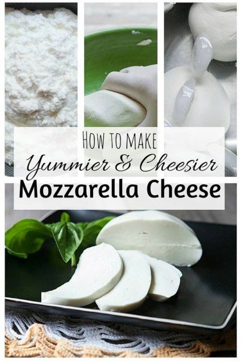 With basic tools and ingredients, you can make your own mozzarella cheese in less than an hour. It's fun to make and definitely saves you money. Diy Mozzarella Cheese, Diy Mozzarella, Southern Baked Macaroni And Cheese, Making Cheese At Home, Make Mozzarella Cheese, Baked Macaroni And Cheese Recipe, Baked Macaroni And Cheese, Diy Cheese, Macaroni And Cheese Recipe