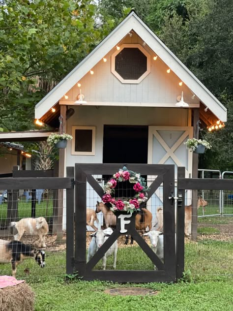 Goat Playground, Greenhouse Venue, Goat Shed, Goat Pen, Goat Shelter, Cute Chicken Coops, Goat House, Chicken Coop Garden, Tiny Farm