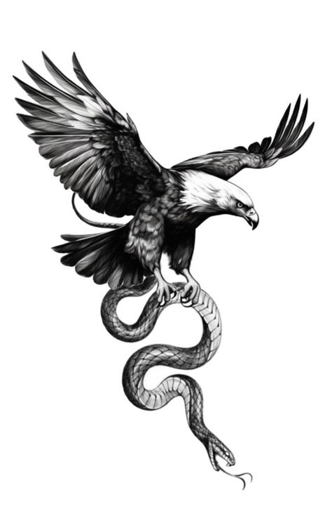 Eagle Snake Tattoo, Eagle Snake, Word Tattoo Ideas, Forearm Sleeve, Snake Tattoo, The Eagle, Tattoo On, Design