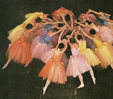 National Geographic Photography, 12 Dancing Princesses, National Geographic Magazine, Animal Science, A Circle, Ballerinas, National Geographic, Art Inspo, Mood Board