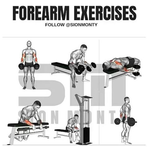 Bigger Forearms, Forearm Exercises, Fitness Training Plan, Complete Workout, Forearm Workout, Strength Exercises, Best At Home Workout, Gym Workout Chart, Weight Training Workouts