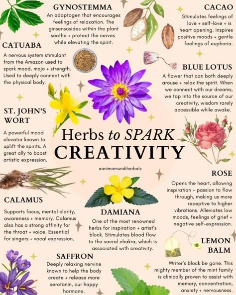 Herbal Education, Medicinal Herbs Garden, Medical Herbs, Magic Herbs, Magical Herbs, Herbal Apothecary, Natural Healing Remedies, Healing Plants, Herbal Healing