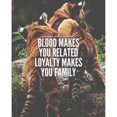 Blood Makes You Related, Loyalty Makes You Family life quotes quotes family… Loyalty Friendship, Family Loyalty, Quotes Family, Life Quotes Pictures, Quotes Inspirational Positive, Quotes Disney, Super Quotes, Ideas Quotes, Trendy Quotes