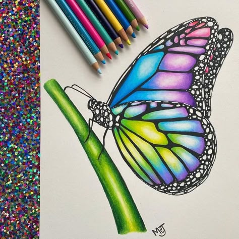 colors of summer in drawing Colorful Butterfly Drawing, Colorful Butterflies Art, Colored Pencil Artwork Ideas, Light Butterfly, Pencil Colours, Colour Pencil Art, Shading Drawing, Pencil Drawing Images, Color Pencil Sketch