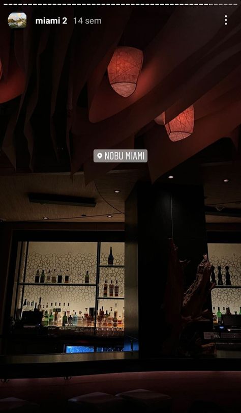 Miami Party Aesthetic, Nobu Miami, Nobu Restaurant, Miami Party, Miami Restaurants, 23rd Birthday, Asian Restaurants, Different Aesthetics, Aesthetic Moodboard