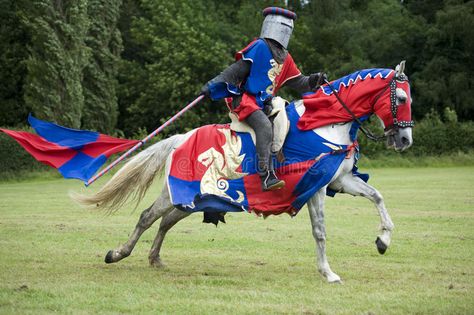 Medieval Cavalry, Horse Fancy Dress, Knight Halloween Costume, Horse Knight, Shield Medieval, Horse Halloween Costumes, Horse Halloween, Blue Knight, Flag Image