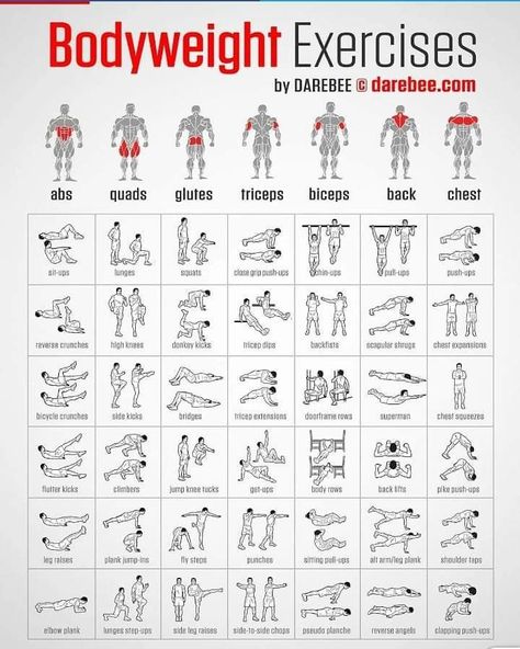 Hiit Exercises, Body Weight Workout Plan, Plank Shoulder Taps, Back Exercise, Exercise Home, Back Lift, Workout Routine For Men, Reverse Crunches, Donkey Kicks