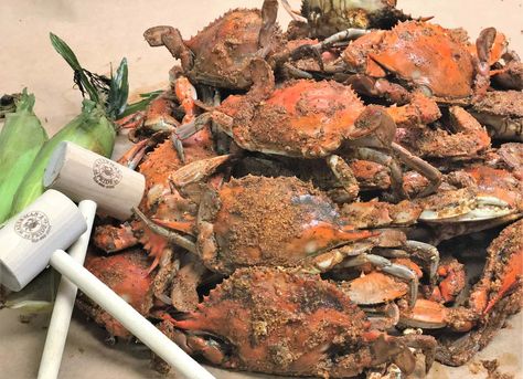 How to reheat your Maryland steamed crabs Seafood Sandwiches, Steamed Crabs, Crab Cake Recipes, Maryland Blue Crab, Crab Dishes, Maryland Crabs, Crab House, Crab Cake, Gourmet Chef