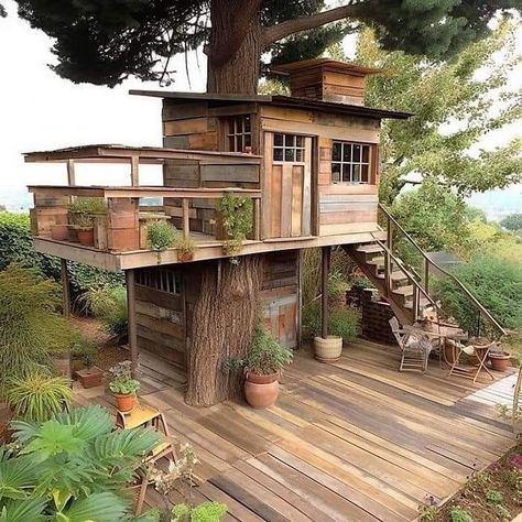 Livable Tree Houses Plans, Big Tree House, Tree House Cabin, Beautiful Tree Houses, Treehouse Masters, Tree House Plans, Tree Fort, Tree House Diy, Cool Tree Houses