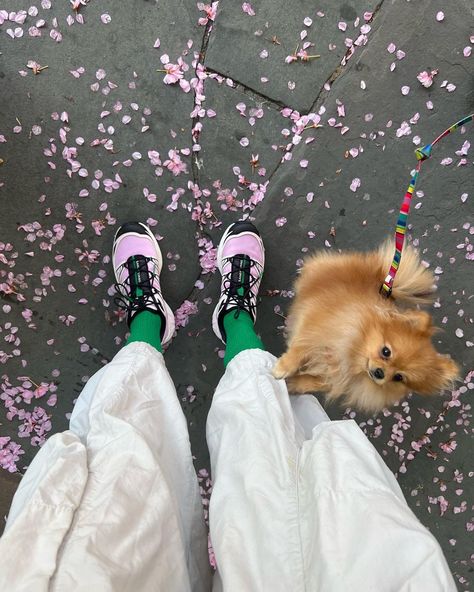 ★LINDSAY VRČKOVNIK★ on Instagram: “going places” Solomon Sneakers, Solomons Shoes, Sporty Summer, Sporty Shoes, Sandy Liang, Sneakers Running, Going Places, Womens Summer Shoes, Sneakers Addict