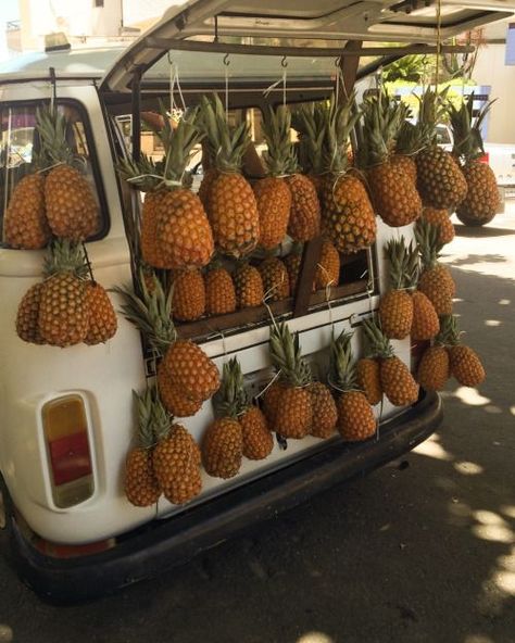 Pineapple truck! Foto Tips, Mellow Yellow, Endless Summer, Summer Of Love, Summer Aesthetic, Kiwi, Summer Time, Rio De Janeiro, Summer Vibes