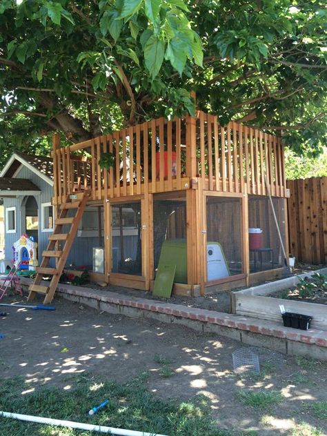 Great idea for combo sandbox/tree house. Designed as chicken coop, but will keep animals out as well as it would keep them in. Chicken Coop Under Playhouse, Chicken Coop Around Tree, Chicken Coop Tree House, Chicken Run Around Tree, Tree House Chicken Coop, Treehouse Chicken Coop, Under Tree House Ideas, Chicken Tree House, Corner Chicken Coop