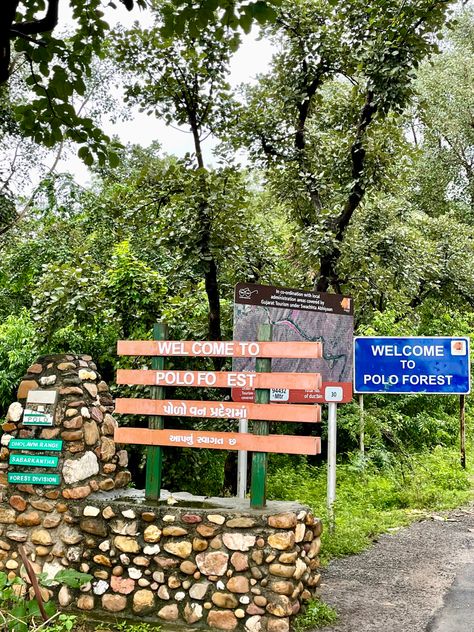 Polo forest Polo Forest Gujarat, Polo Forest, City Palace Udaipur, Shiva Linga, Jesus Wallpaper, Phone Wallpaper For Men, Udaipur, My Photo Gallery, Beautiful Nature Pictures