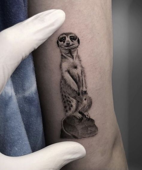 Meerkat Tattoo, Animal Pfp Aesthetic, Animal Pfp Funny, Animal Wallpaper Aesthetic, Pfp Animal, Clock And Rose Tattoo, Tattoos Funny, Animal Couple, Animal Pfp