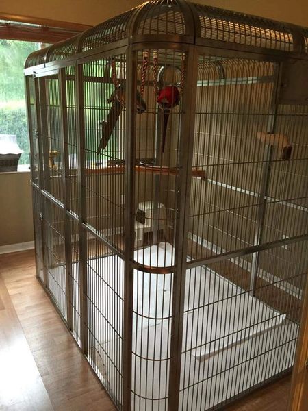 Big Bird Cage, Parrot Cages, Flight Cage, Birds Parrots, Large Bird Cages, Budgie Parakeet, Tiny House Interior Design, Grey Parrot, Bird Aviary