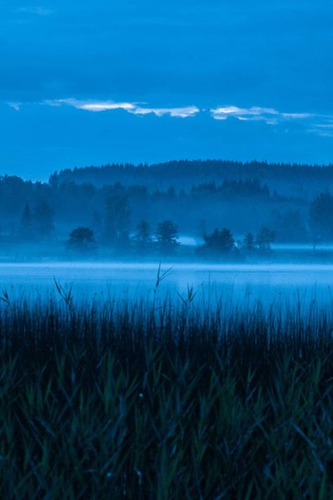 Check out "Blue Hours" in Sweden Blue Hour Aesthetic, Wallpaper Backgrounds Blue, Blue Hour Photography, Backgrounds Blue, The Blue Hour, Blue Landscape, Dark Blue Wallpaper, Nordic Countries, Night Landscape