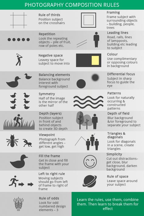 Photo Cheat Sheet, Photography Infographic, Photography Classroom, Beginner Photography Camera, Photography Cheat Sheet, Composition Rules, Photography Notes, Camera Basics, Photography Rules