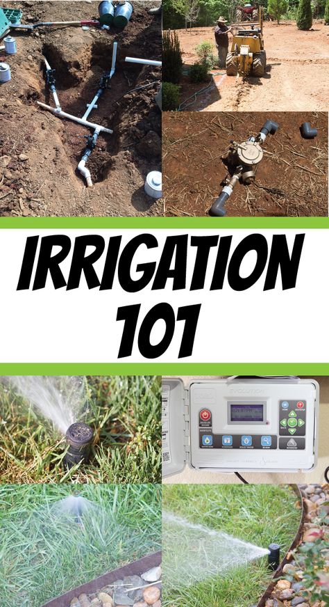 Sprinkler System Diy, Irrigation System Diy, Lawn Sprinkler System, Rainwater Collection, Lawn Irrigation, Diy Lawn, Aerate Lawn, Rain Collection, Drip Irrigation System