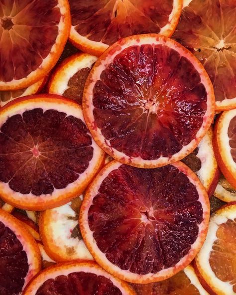 Blood Orange Aesthetic, Orange Fruit Aesthetic, Blood Orange Aesthetic Artist, Clementine Fruit Aesthetic, Orange Aesthetic Fruit, Aesthetic Oranges Fruit, Orange Tea, Orange Icons:), Orange Lips