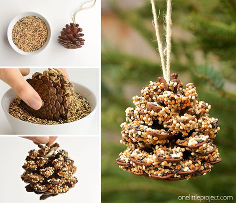 Bird Feeders For Kids To Make, Pine Cone Bird Feeder, Bird Feeder Craft, Bird Seed Ornaments, Homemade Bird Feeders, Diy Bird Feeder, Cones Crafts, Diy Birds, Pine Cone Crafts