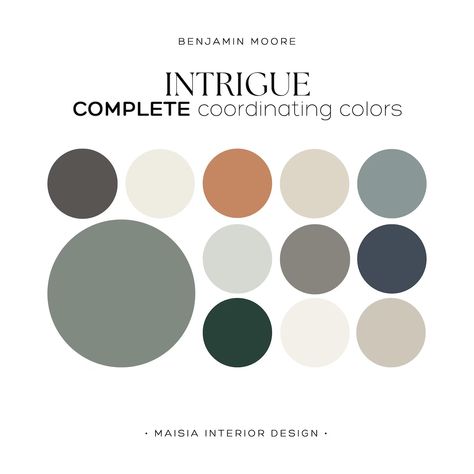 Whole House Paint Palette BENJAMIN MOORE Color Palette INTRIGUE Coordinating Color Palette Home Color Scheme Home Color Scheme Idea - Etsy Benjamin Moore Color Combinations, Color Palette Industrial, Moody Paint Palette, Benjamin Moore Whole House Color Scheme, Living Room Color Pallet Ideas, Benjamin Moore Color Palette, Whole House Paint Palette, Redecorate Room, Color Palette Purple