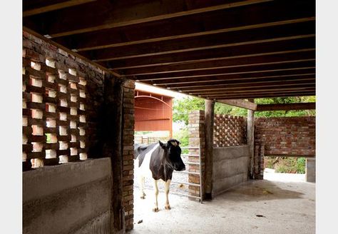 The best architect-designed cow sheds in the Mooniverse | Building Studies | Building Design Landscape Resort, Cow Shed Design, Small Barns, Cow Shed, Milk Dairy, Corrugated Iron, Architecture Concept Diagram, Concept Diagram, Architecture Concept