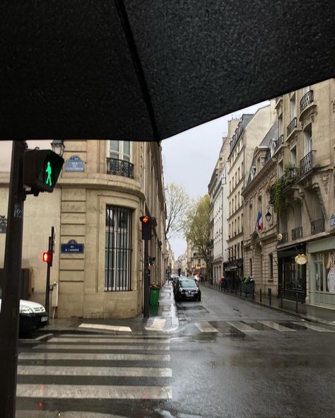 Rainy days in Paris 🇫🇷 #paris #travel #france #parisfrance #parisstyle #2024 #love #rain #fyp #rainphotography #francetravel Rain In Paris, Rainy Paris, Paris April, Paris Dream, Paris Home, Travel France, Love Rain, Insta Ideas, Paris Paris