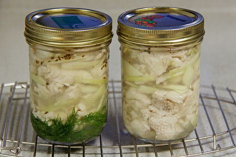 Pickled Herring Recipe, Montana Recipes, Pickled Fish Recipe, Pickled Items, Montana Hunting, Pickled Meat, Herring Recipes, Pickled Herring, Homemade Dips