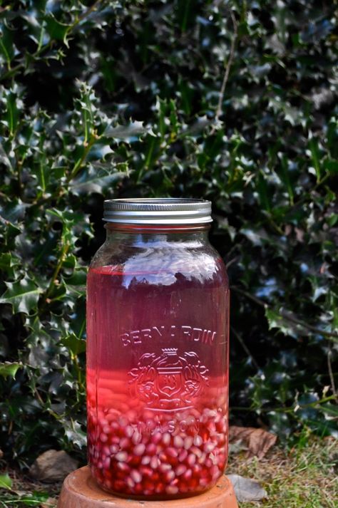 Pomegranate Gin, Pomegranate Liqueur, Christmas Gin, Infused Gin, Almost Christmas, Infused Vodka, Pomegranate Seeds, Mason Jar Mug, Liqueur