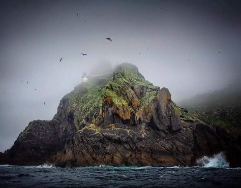 Blasket Islands Stormy Island, Stormy Lighthouse, Shipwreck Island, Horse Story, Sea Storm, Stormy Seas, Dark Christmas, Fantasy Island, Stormy Sea