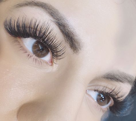 Lash Extension Almond Eyes, Squirrel Eyelash Extensions, Lash Extension Asian Eyes, Whisky Hybrid Lash Extensions, Eyelash Extensions Squirrel, Types Of Eyelash Extensions, Natural Fake Eyelashes, Lash Extentions, Volume Lash Extensions