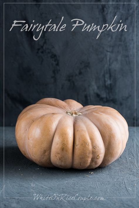 Winter Squash and Pumpkin Guide | Fairy Tale Pumpkin Squash @whiteonrice Sweet Dumpling Squash, Winter Squash Varieties, Buttercup Squash, Winter Squash Recipes, Types Of Pumpkins, Pumpkin Varieties, Squash Varieties, Sweet Dumplings, Pumpkin Squash