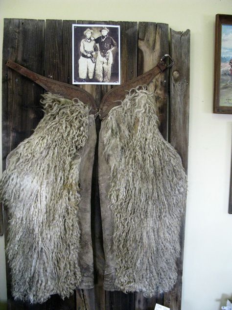 vintage wooly chaps mounted on wooden door Wooly Chaps, Cowboy Attire, Western Chaps, Tack Board, Farm Photos, Cowboy Gear, Rustic Western Decor, Western Horse Tack, Cave Creek