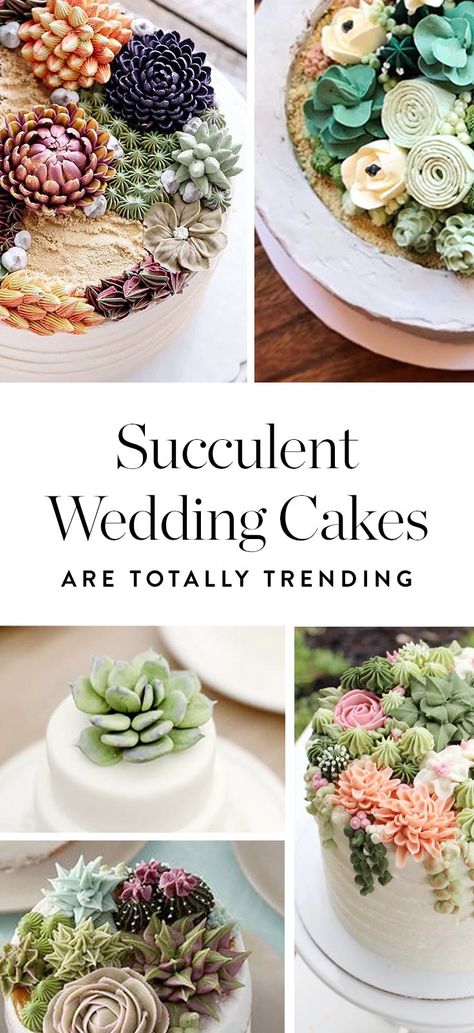 Succulent Cakes Will Be at Weddings Everywhere This Summer Succulent Cakes, Chocolate Paste, Money Cakes, Succulent Wedding Cakes, Funny Cakes, Wedding Cakes Ideas, Professional Cakes, Succulent Cupcakes, Jordan Wedding